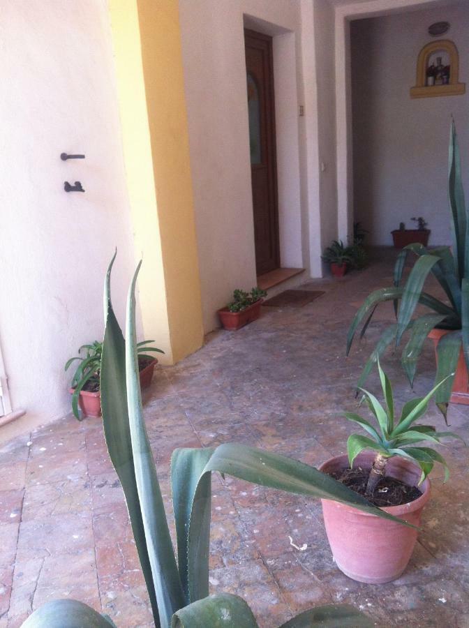 B&B Celestina Ischia Lacco Ameno  Dış mekan fotoğraf