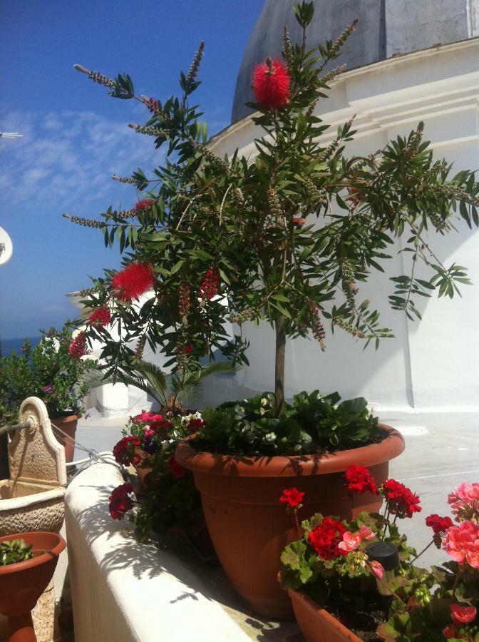 B&B Celestina Ischia Lacco Ameno  Dış mekan fotoğraf